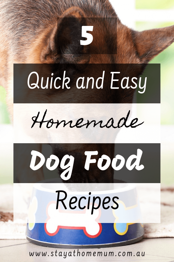 5-Quick-and-Easy-Homemade-Dog-Food-Recipes